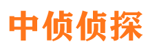 龙井市婚外情调查